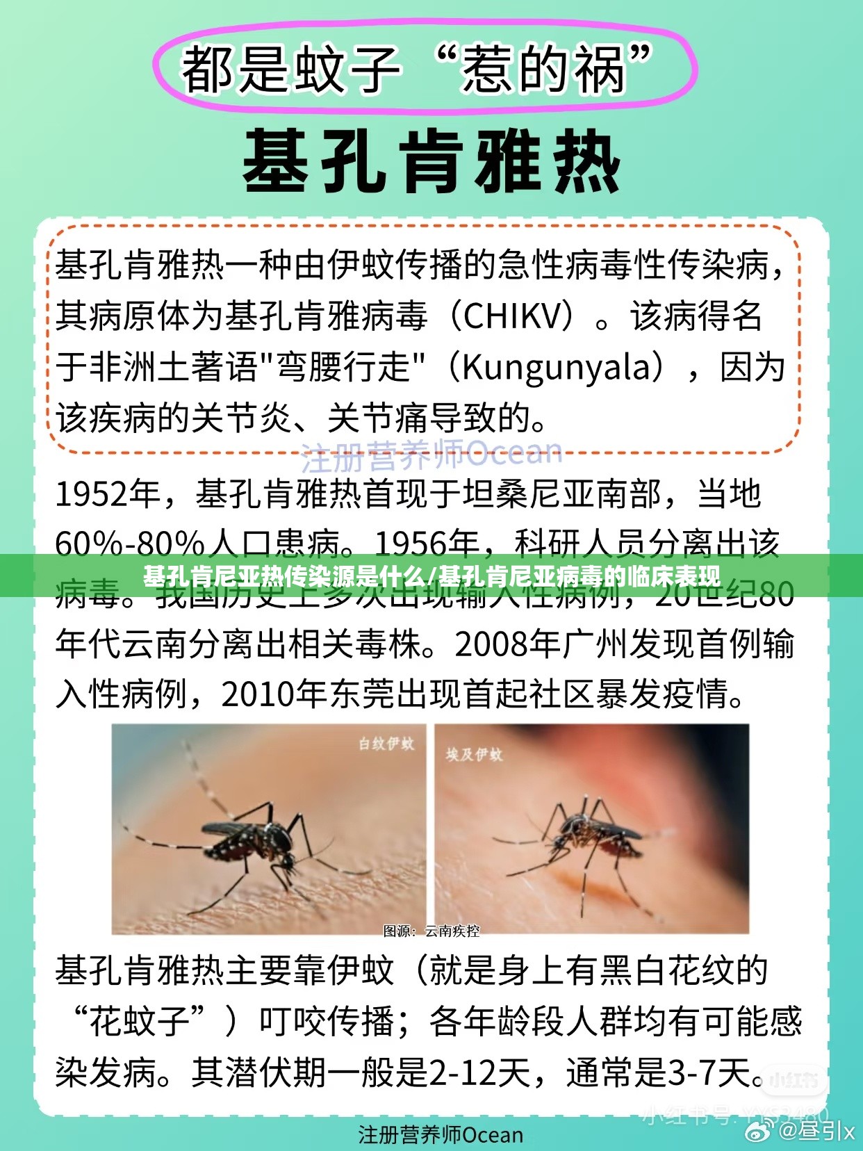 基孔肯尼亚热传染源是什么/基孔肯尼亚病毒的临床表现
