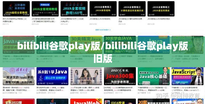bilibili谷歌play版/bilibili谷歌play版旧版