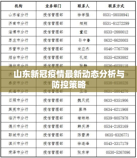 山东新冠疫情最新动态分析与防控策略