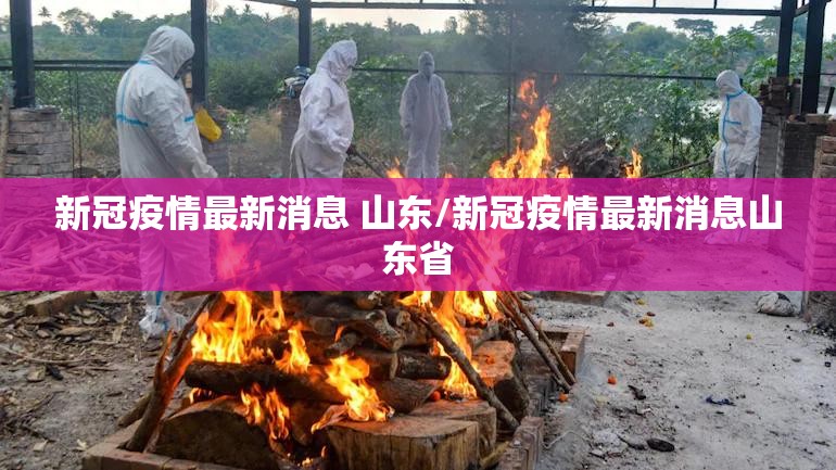 新冠疫情最新消息 山东/新冠疫情最新消息山东省