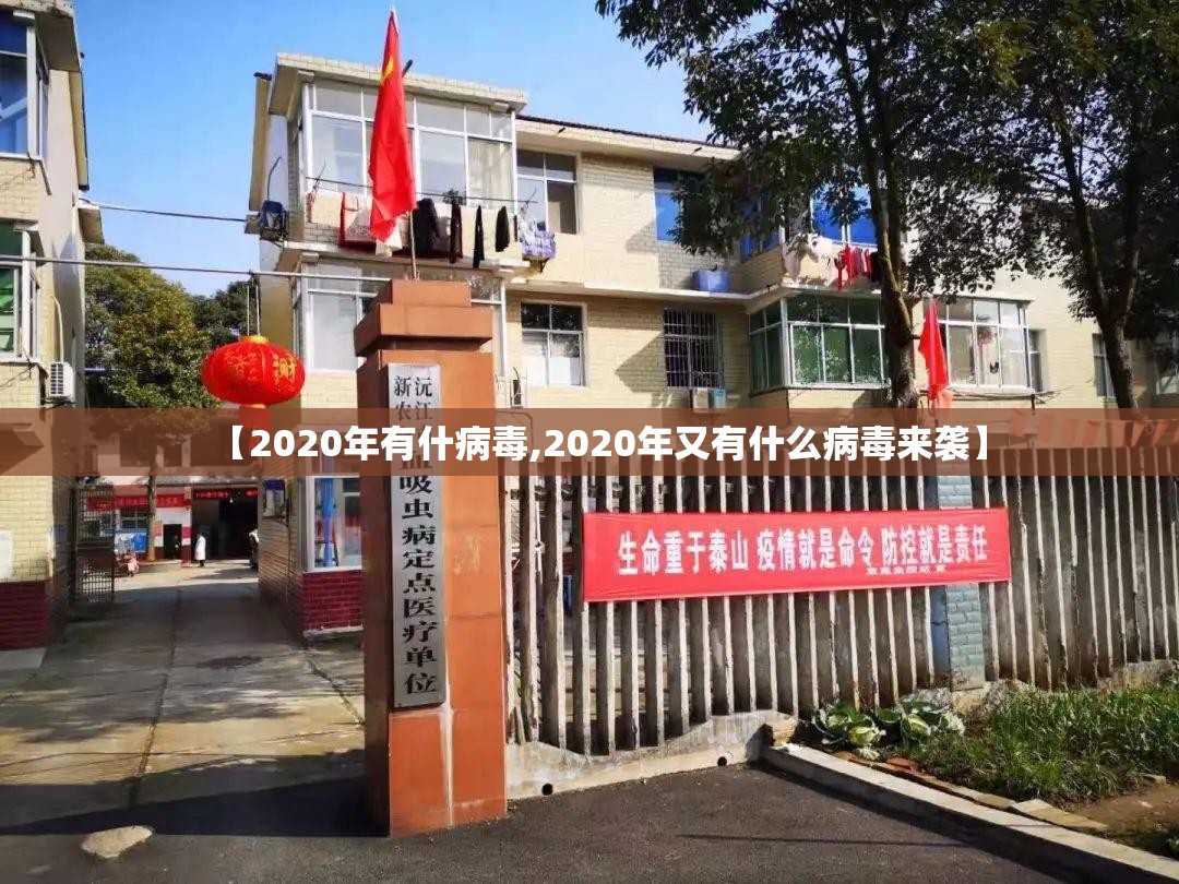 【2020年有什病毒,2020年又有什么病毒来袭】