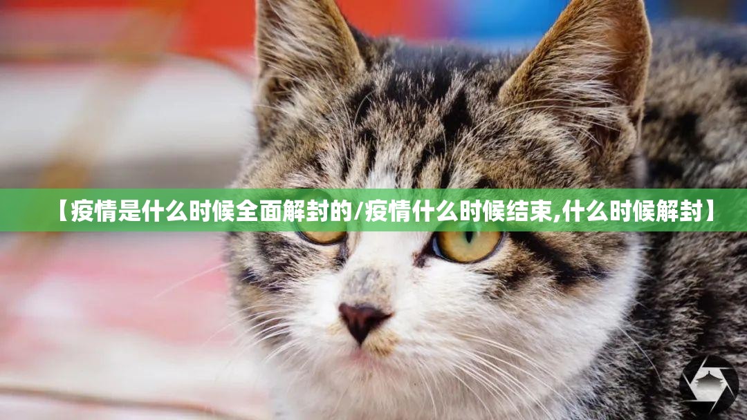 【疫情是什么时候全面解封的/疫情什么时候结束,什么时候解封】