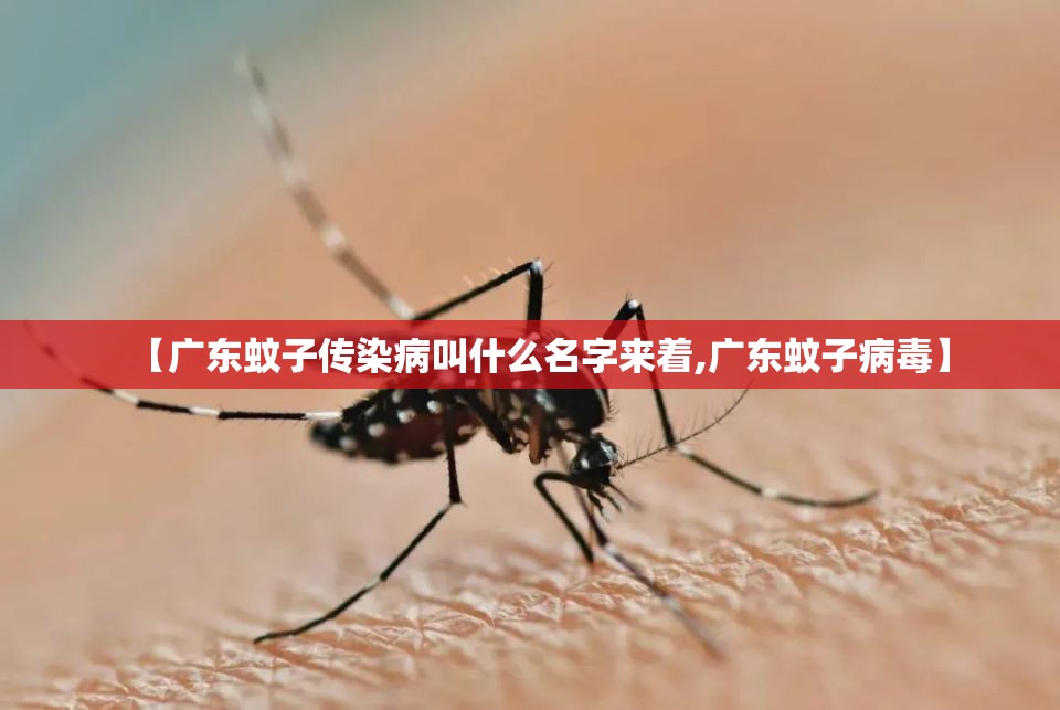 【广东蚊子传染病叫什么名字来着,广东蚊子病毒】