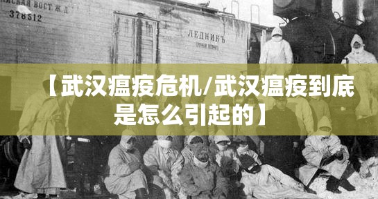 【武汉瘟疫危机/武汉瘟疫到底是怎么引起的】
