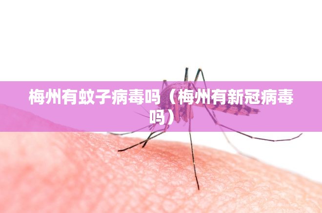 梅州有蚊子病毒吗（梅州有新冠病毒吗）