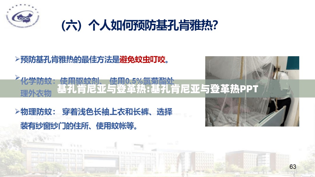 基孔肯尼亚与登革热:基孔肯尼亚与登革热PPT