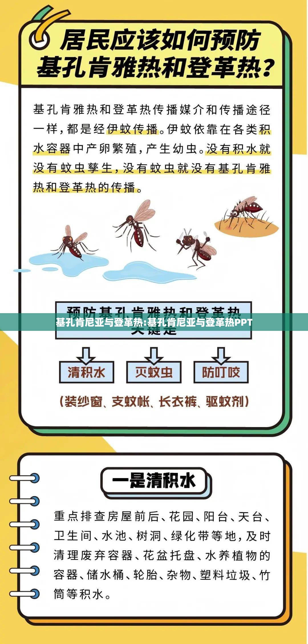 基孔肯尼亚与登革热:基孔肯尼亚与登革热PPT