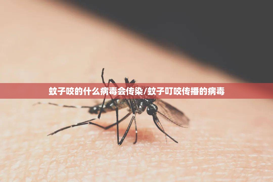 蚊子咬的什么病毒会传染/蚊子叮咬传播的病毒