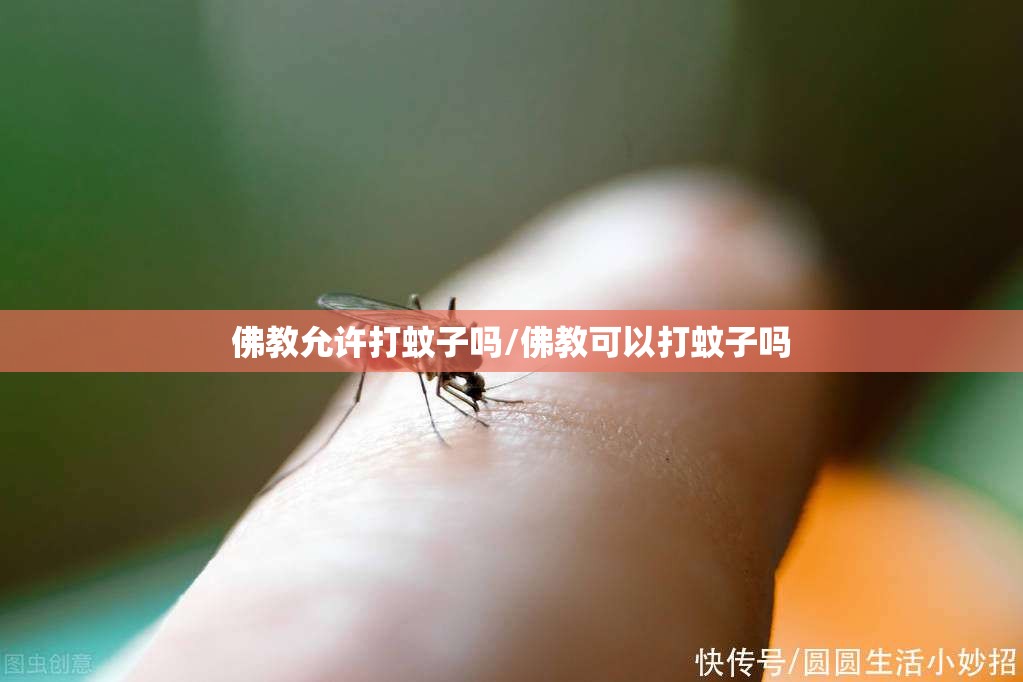 佛教允许打蚊子吗/佛教可以打蚊子吗
