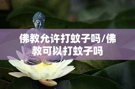 佛教允许打蚊子吗/佛教可以打蚊子吗