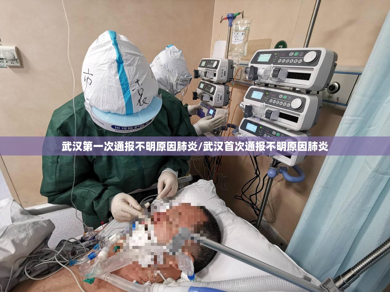 武汉第一次通报不明原因肺炎/武汉首次通报不明原因肺炎