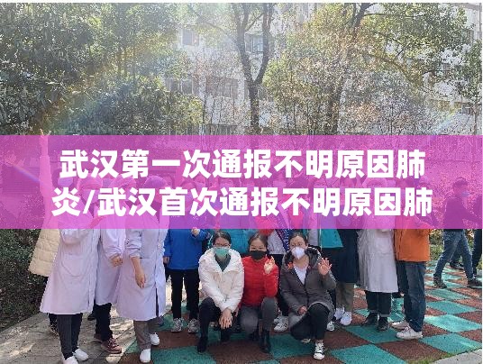 武汉第一次通报不明原因肺炎/武汉首次通报不明原因肺炎