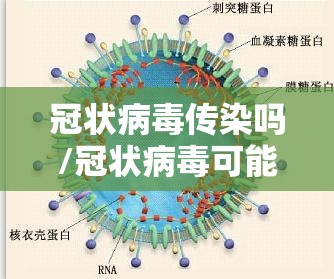 冠状病毒传染吗/冠状病毒可能传染的途径