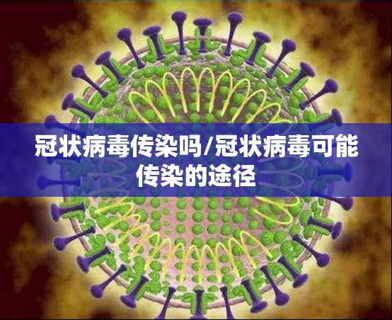 冠状病毒传染吗/冠状病毒可能传染的途径