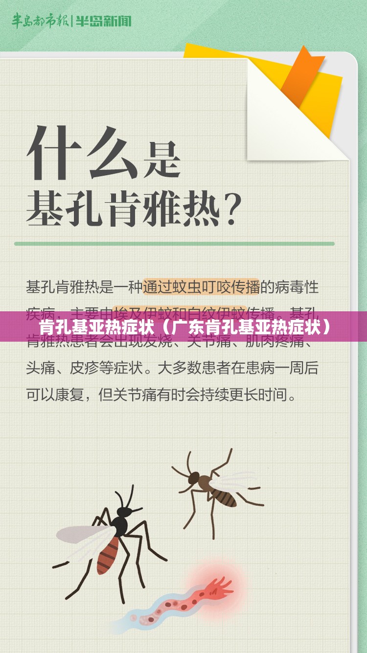 肯孔基亚热症状（广东肯孔基亚热症状）