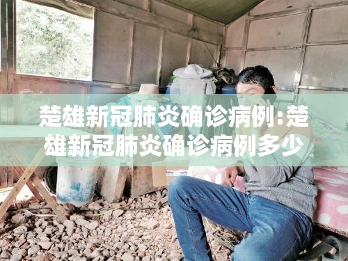 楚雄新冠肺炎确诊病例:楚雄新冠肺炎确诊病例多少