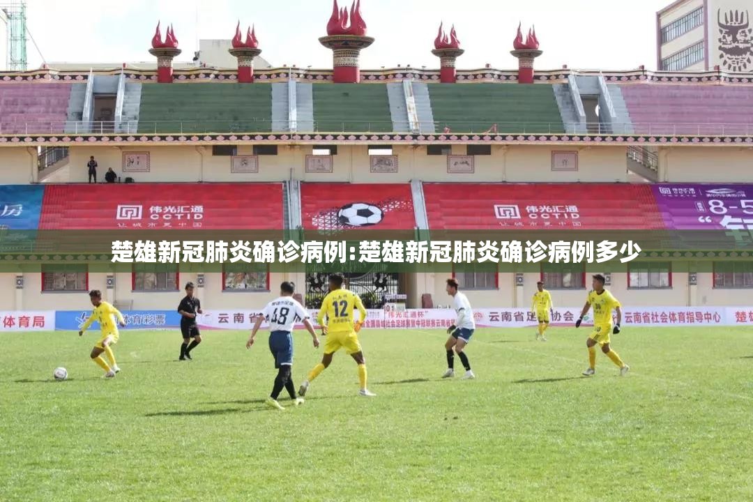 楚雄新冠肺炎确诊病例:楚雄新冠肺炎确诊病例多少