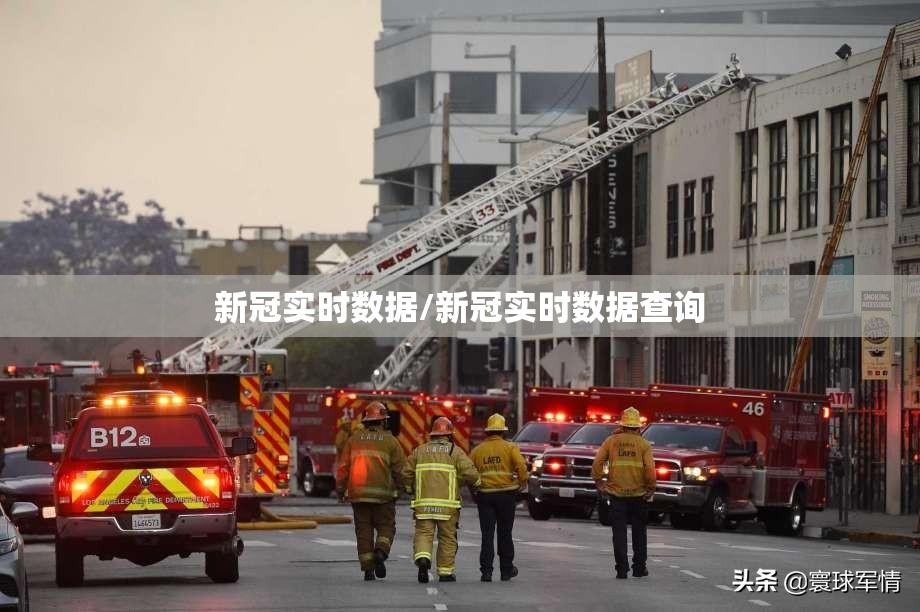 新冠实时数据/新冠实时数据查询