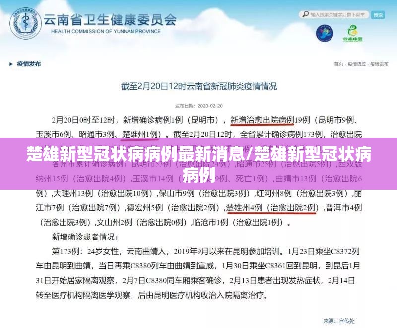 楚雄新型冠状病病例最新消息/楚雄新型冠状病病例