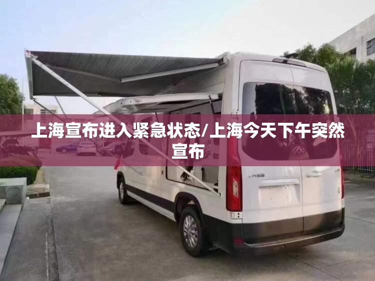 上海宣布进入紧急状态/上海今天下午突然宣布