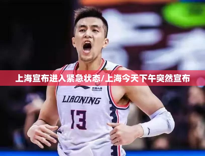 上海宣布进入紧急状态/上海今天下午突然宣布