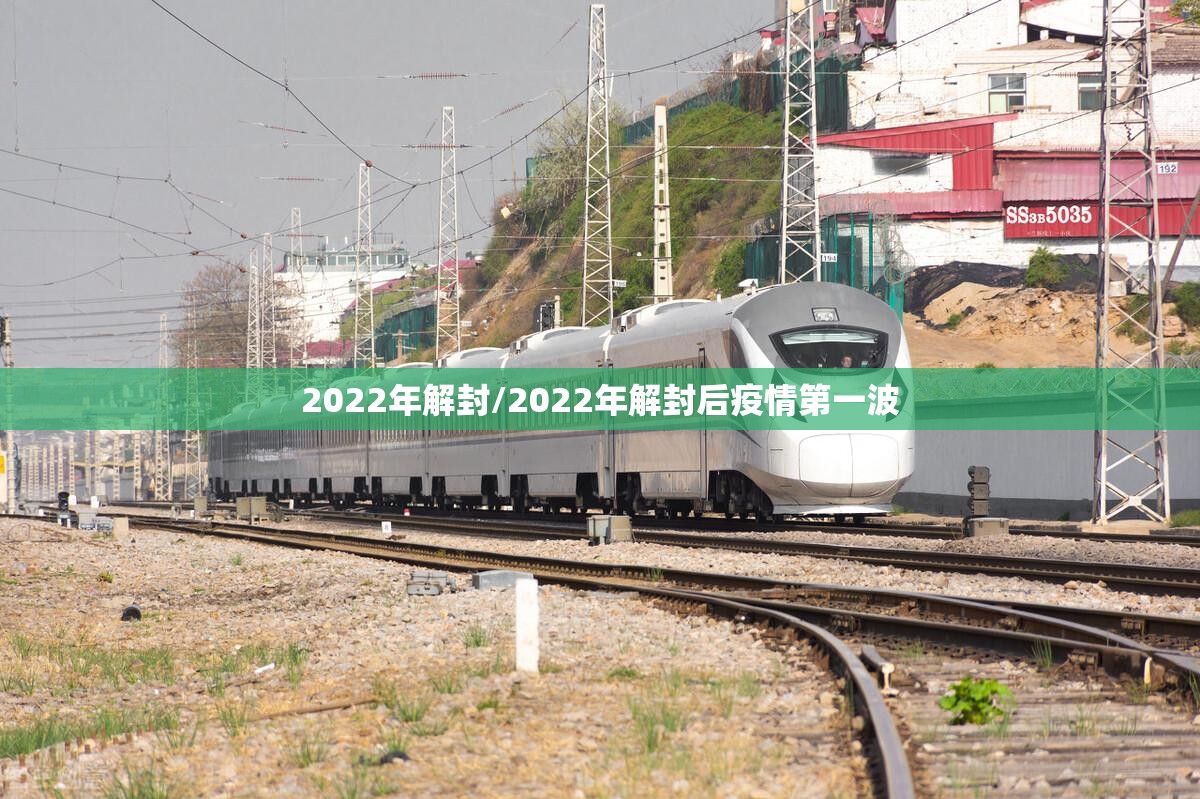 2022年解封/2022年解封后疫情第一波
