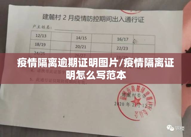 疫情隔离逾期证明图片/疫情隔离证明怎么写范本