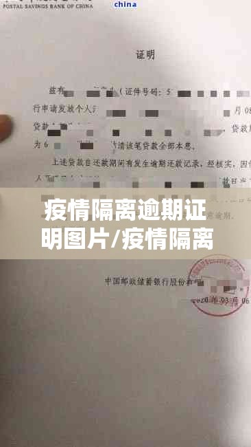 疫情隔离逾期证明图片/疫情隔离证明怎么写范本