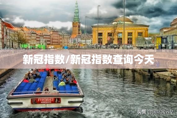 新冠指数/新冠指数查询今天