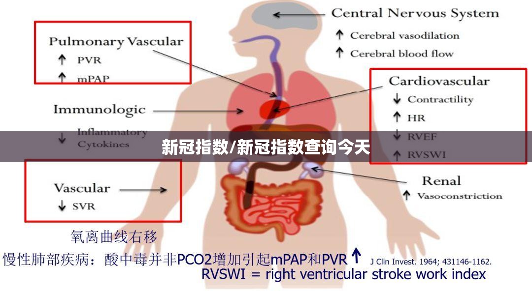 新冠指数/新冠指数查询今天