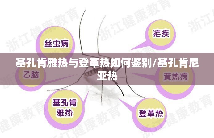 基孔肯雅热与登革热如何鉴别/基孔肯尼亚热