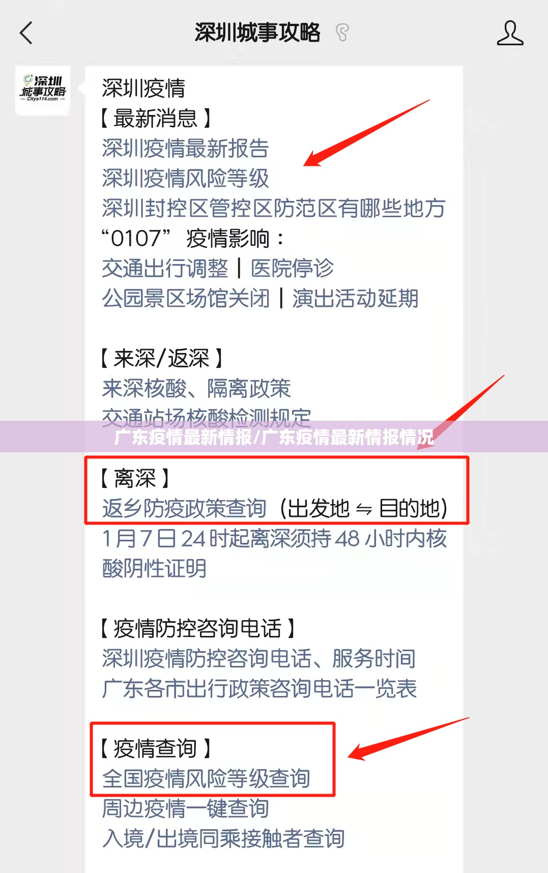 广东疫情最新情报/广东疫情最新情报情况