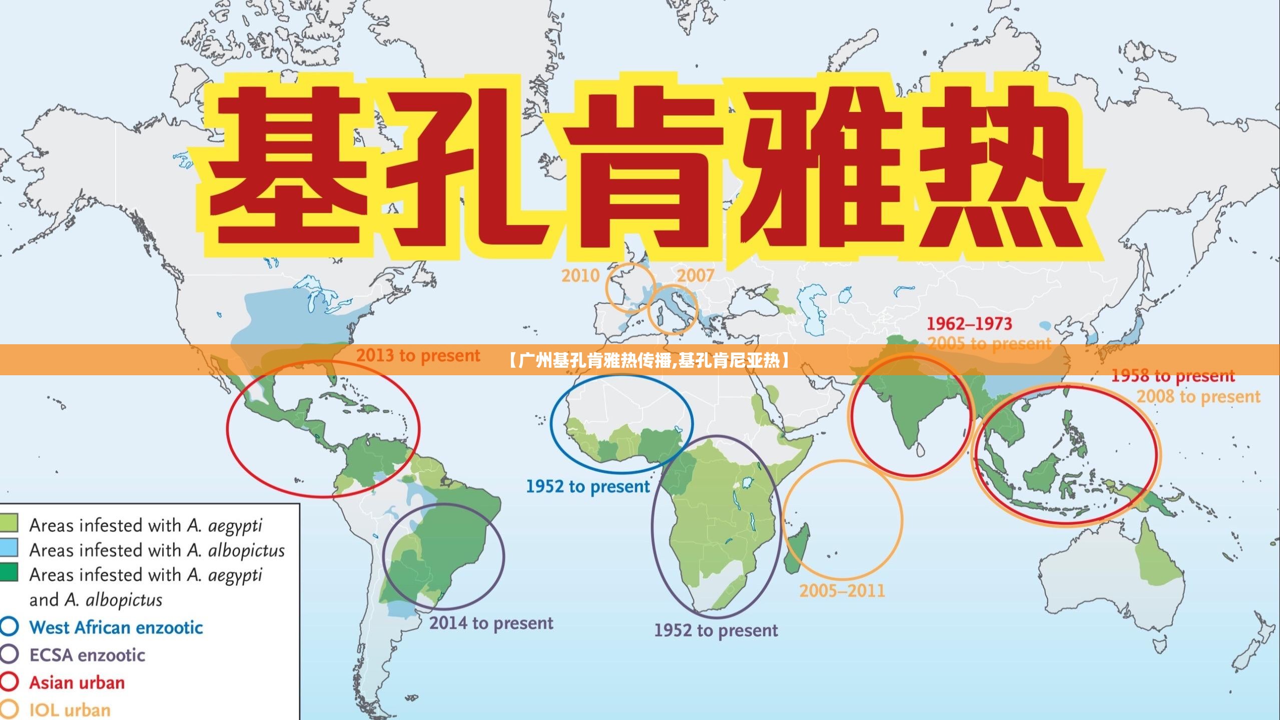 【广州基孔肯雅热传播,基孔肯尼亚热】