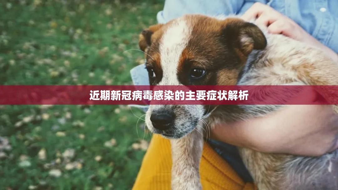 近期新冠病毒感染的主要症状解析