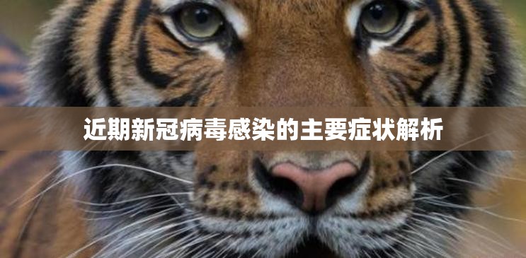 近期新冠病毒感染的主要症状解析