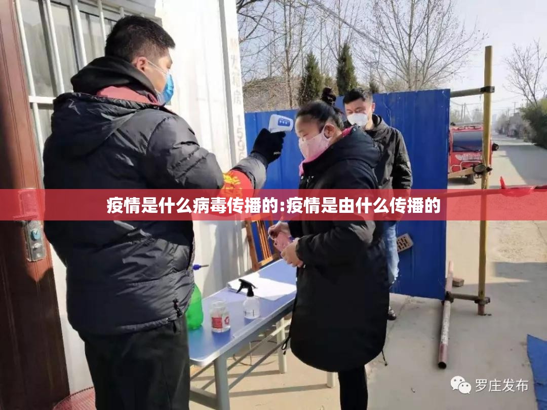 疫情是什么病毒传播的:疫情是由什么传播的