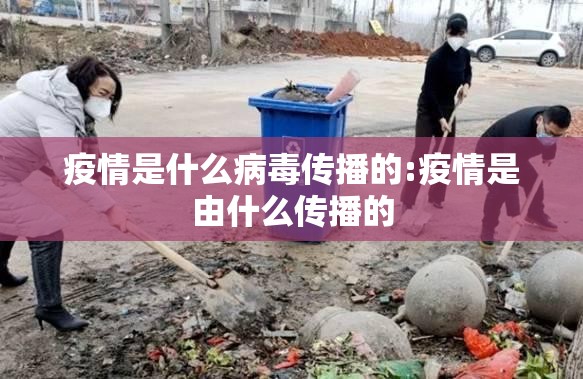 疫情是什么病毒传播的:疫情是由什么传播的