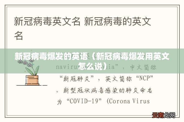 新冠病毒爆发的英语（新冠病毒爆发用英文怎么说）