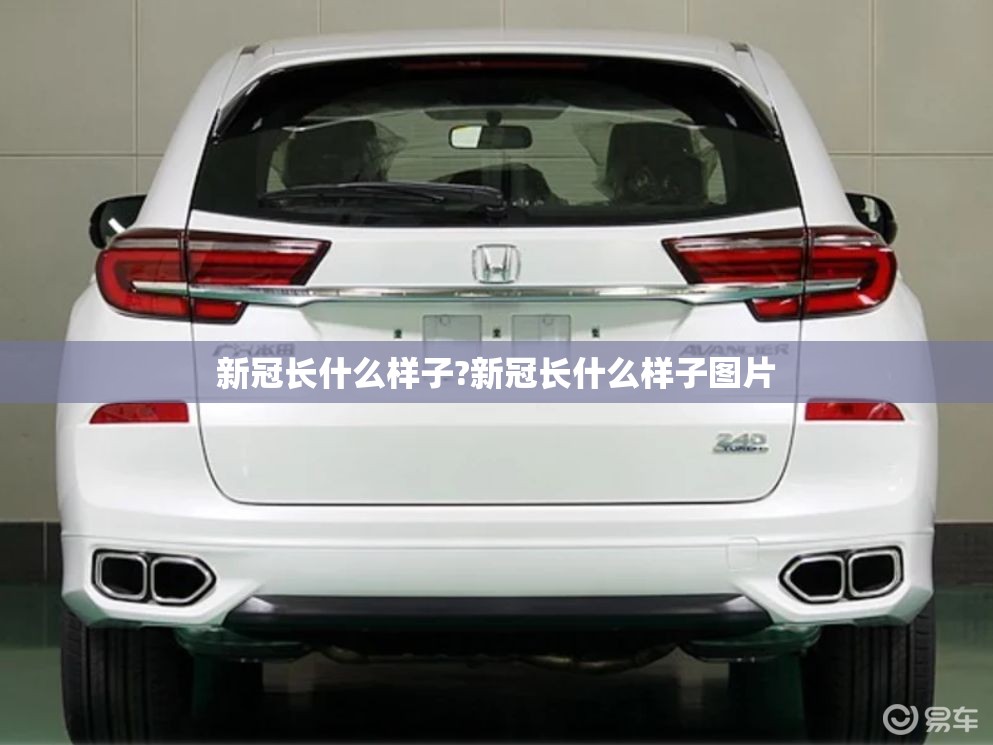 新冠长什么样子?新冠长什么样子图片