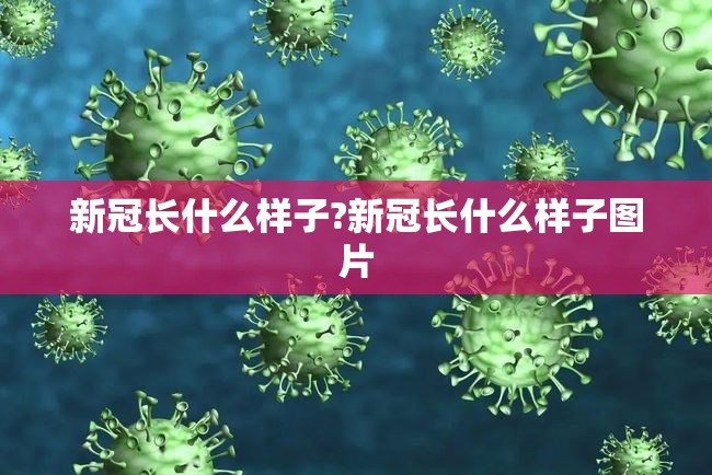 新冠长什么样子?新冠长什么样子图片