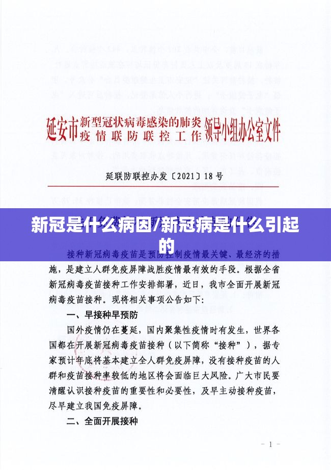 新冠是什么病因/新冠病是什么引起的