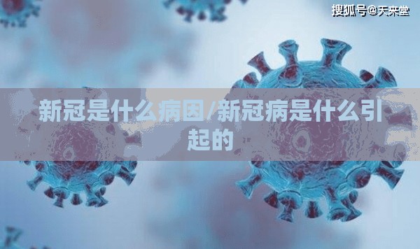 新冠是什么病因/新冠病是什么引起的
