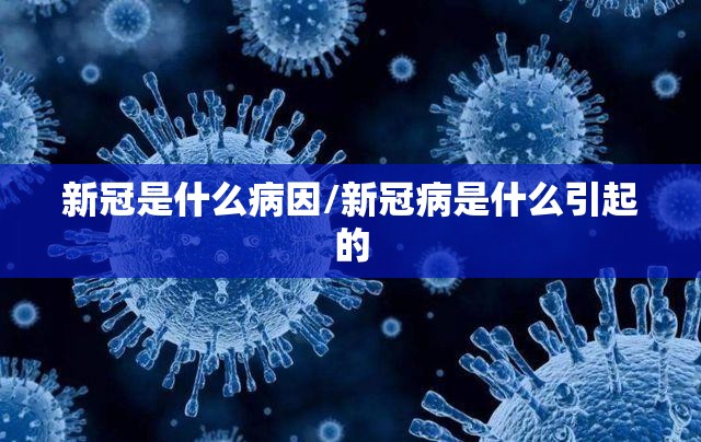 新冠是什么病因/新冠病是什么引起的