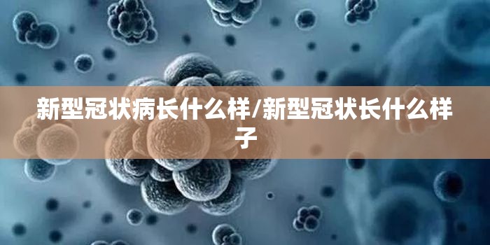 新型冠状病长什么样/新型冠状长什么样子