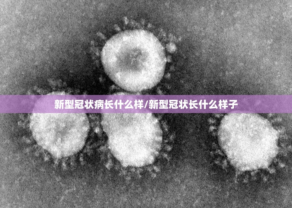 新型冠状病长什么样/新型冠状长什么样子