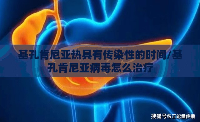 基孔肯尼亚热具有传染性的时间/基孔肯尼亚病毒怎么治疗
