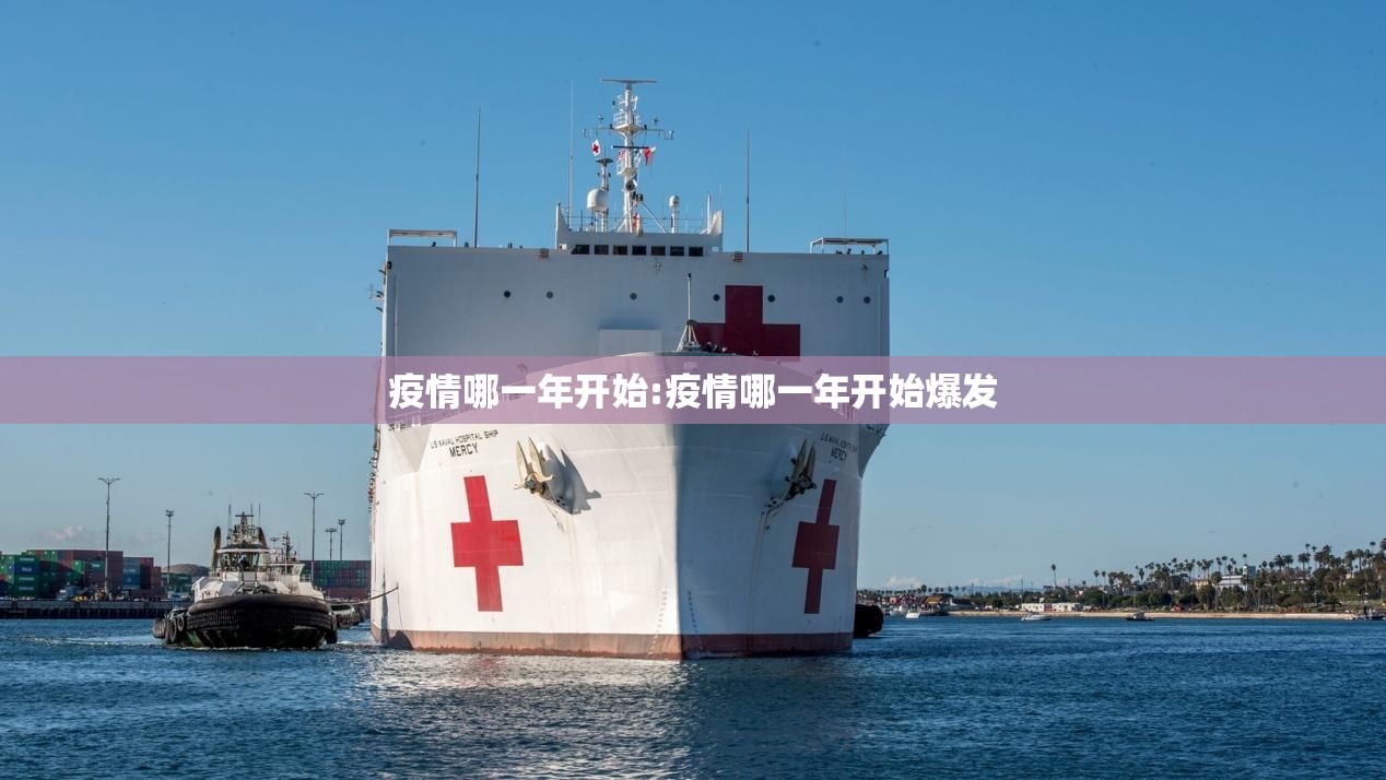 疫情哪一年开始:疫情哪一年开始爆发