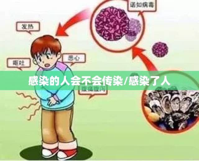 感染的人会不会传染/感染了人