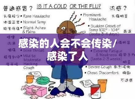 感染的人会不会传染/感染了人