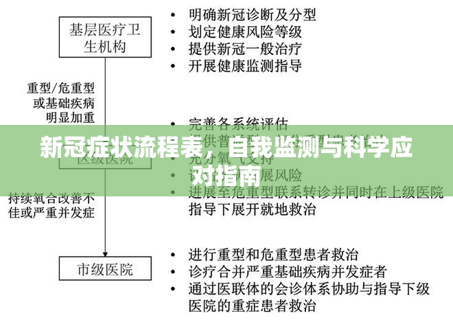 新冠症状流程表，自我监测与科学应对指南
